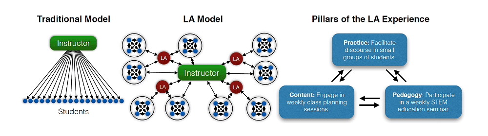 Traditional model: instructor talks at students; LA model: Instructor engages students in groups while LAs circulate facilitating discussions; LAs are a bridge between the instructor and the students, and work closely with both.